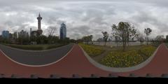 pudong (3)